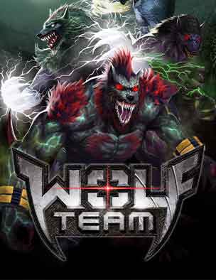 Wolfteam 1.000 Joypara